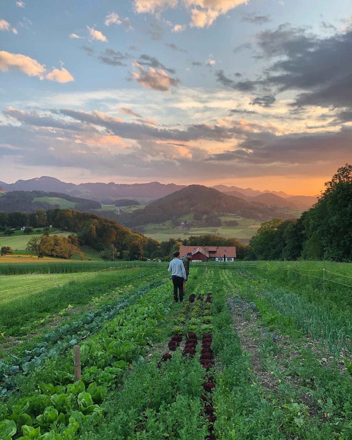 Foto del post Straparola del 21 settembre 2020